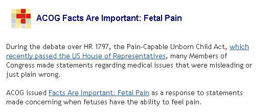 fetalpain_acog