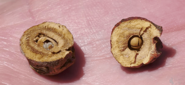 Screen Shot 2017-05-16 at 4.05.38 PM.png